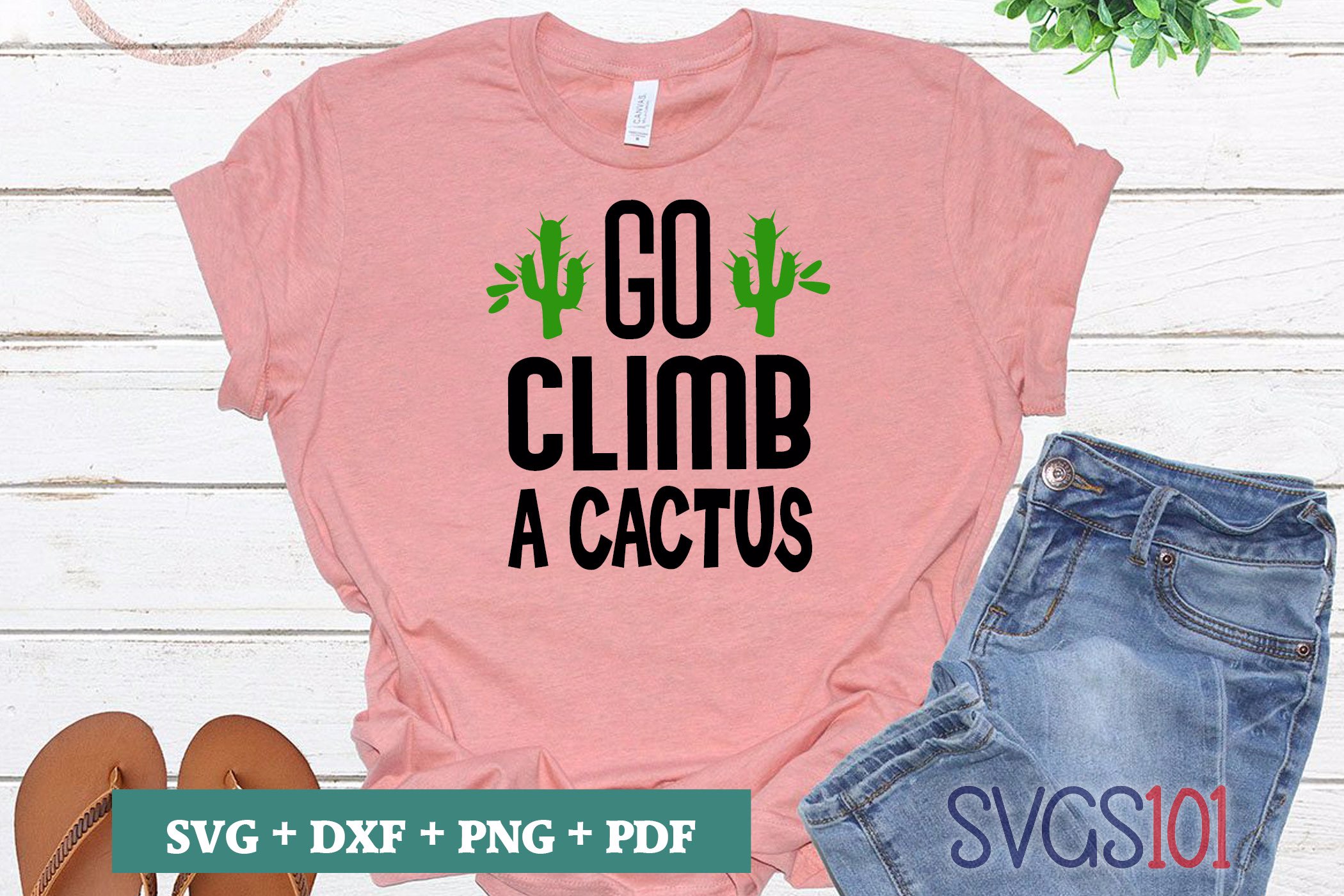Go Climb a Cactus 1