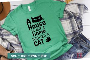 A House Is NOt a Home Without A Cat