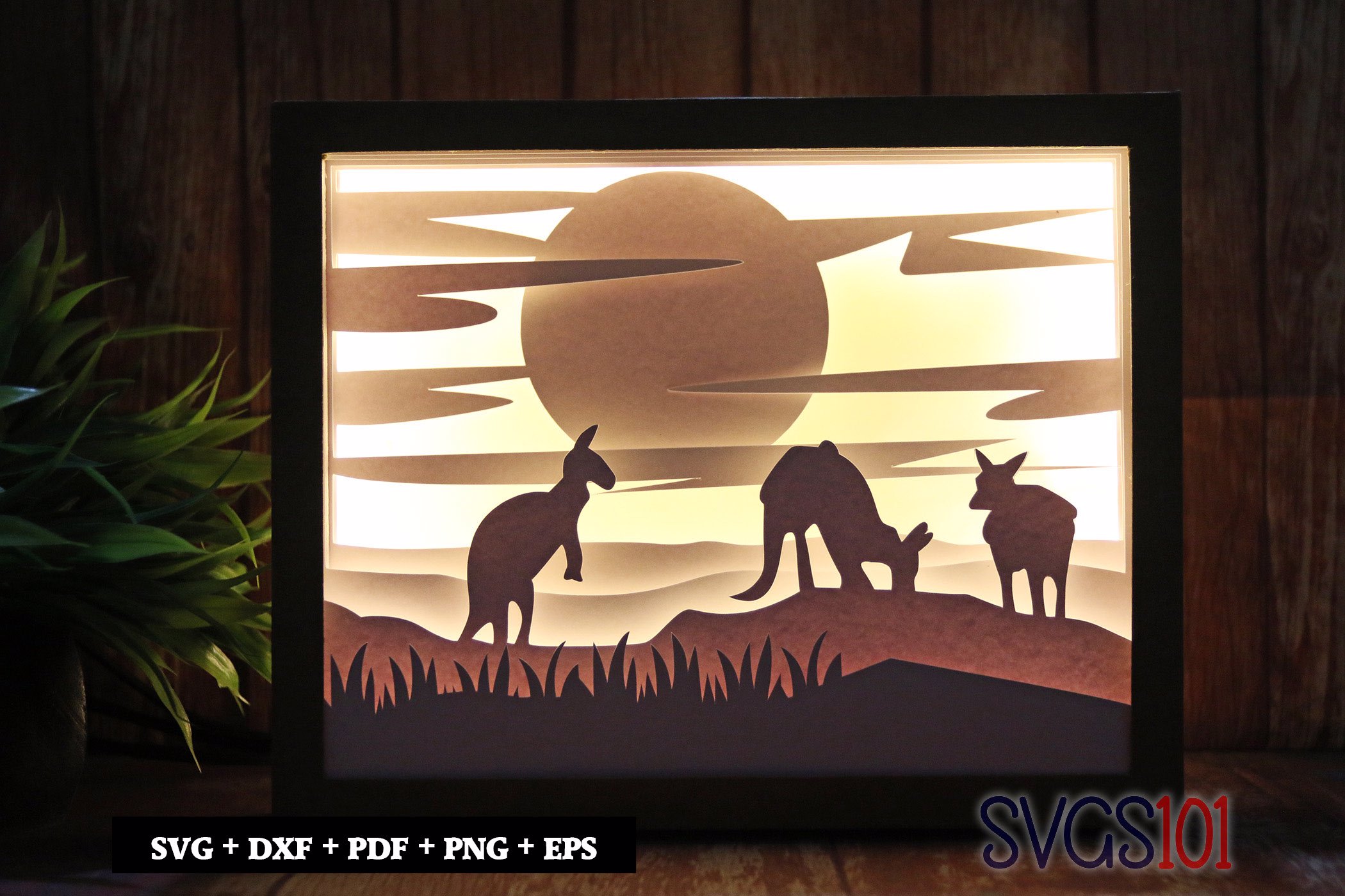 Kangaroos Playing Shadow Box 8x10 Rectangle